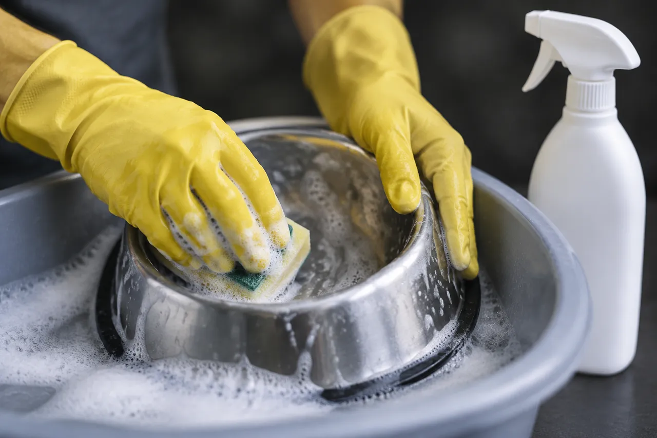 Unas manos con guantes de goma amarillos lavan un plato de metal para perro en un balde con agua y espuma, junto a un rociador blanco